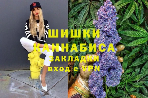 ПСИЛОЦИБИНОВЫЕ ГРИБЫ Балахна