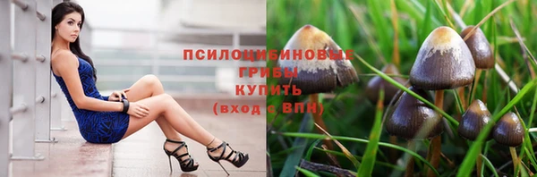 ПСИЛОЦИБИНОВЫЕ ГРИБЫ Балахна