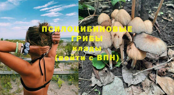 мет Аркадак