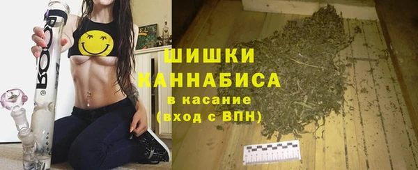 спиды Арсеньев